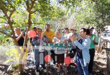 Nandaime inaugura su primer estanque de cultivo de tilapias 2023 Nandaime inaugura su primer estanque de cultivo de tilapias 2023