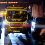 Un niño muerto y otro lucha por su vida tras accidente ferroviario en Alemania