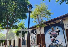 Familias de León se ven afectadas por tolvaneras Familias de León se ven afectadas por tolvaneras