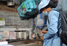 MINSA lleva atención de calidad casa a casa para habitantes de Managua Foto: Brigadas antiepidémicas y médicas por Managua / TN8