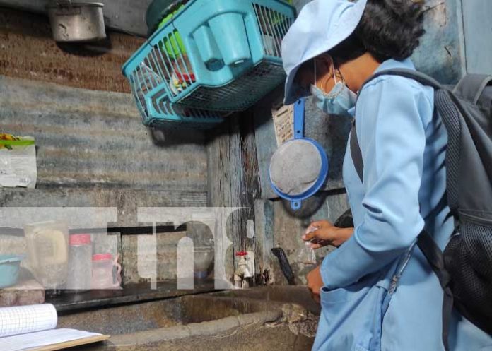 Foto: Brigadas antiepidémicas y médicas por Managua / TN8
