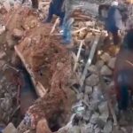 Logran rescatar con vida a caballo