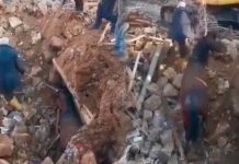 Caballo es rescatado luego de pasar 21 días bajo los escombros en Turquía Logran rescatar con vida a caballo
