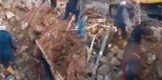 Logran rescatar con vida a caballo