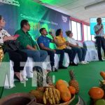 Así fue el lanzamiento de las escuelas técnicas de campo en Carazo Foto: Lanzamiento de escuelas técnicas de campo en Carazo / TN8