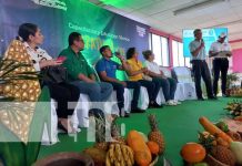 Así fue el lanzamiento de las escuelas técnicas de campo en Carazo Foto: Lanzamiento de escuelas técnicas de campo en Carazo / TN8