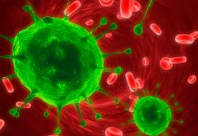 Investigación resalta como el cáncer se "protege" de la quimioterapia