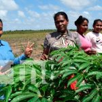 Inauguran centro de investigación tecnológico agropecuario en Bilwi Inauguran centro de investigación tecnológico agropecuario en Bilwi