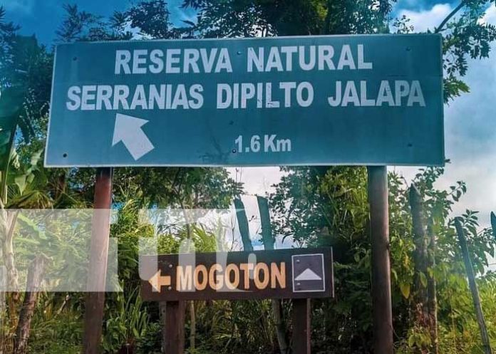 cerro Premio monetario para las ganadoras en Nueva Segovia