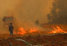 Alerta roja en Chile por el azote de una ola de incendios forestales Alerta roja en Chile por el azote de una ola de incendios forestales