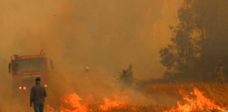 Alerta roja en Chile por el azote de una ola de incendios forestales