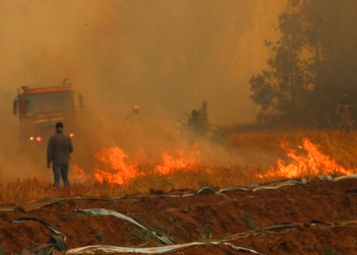 Alerta roja en Chile por el azote de una ola de incendios forestales
