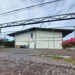«Nica» de 22 años aparece con la masa encefálica de fuera en Costa Rica "Nica" de 22 años aparece con la masa encefálica de fuera en Costa Rica