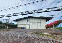 «Nica» de 22 años aparece con la masa encefálica de fuera en Costa Rica "Nica" de 22 años aparece con la masa encefálica de fuera en Costa Rica