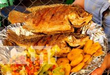 Con feria gastronómica da inicio la Cuaresma en el Mercado de Estelí Foto: Feria gastronómica con Comidas de Cuaresma en el Mercado de Estelí / TN8