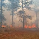 Grandes columnas de humo de un incendio forestal afecta el oriente de Cuba Grandes columnas de humo de incendio forestal afecta el oriente de Cuba
