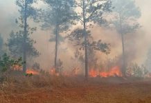 Grandes columnas de humo de un incendio forestal afecta el oriente de Cuba Grandes columnas de humo de incendio forestal afecta el oriente de Cuba
