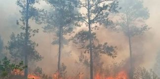 Grandes columnas de humo de incendio forestal afecta el oriente de Cuba