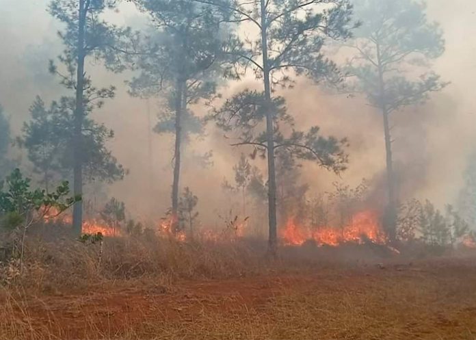 cuba1 Grandes columnas de humo de incendio forestal afecta el oriente de Cuba