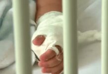 Entre la vida y la muerte dejan a niño en Houston tras ser brutalmente golpeado Entre la vida y la muerte dejan a niño en Houston tras ser brutalmente golpeado