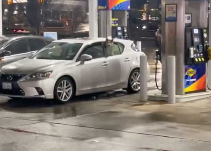 Perrito le pita a su dueño para que se apure