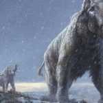 Los elefantes ancestrales eran gigantescos, y los neandertales se los comían Los elefantes ancestrales eran gigantescos, y los neandertales se los comían