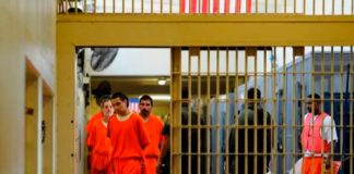 Polémica: Reducen sentencia a reos en Estados Unidos si donan órganos