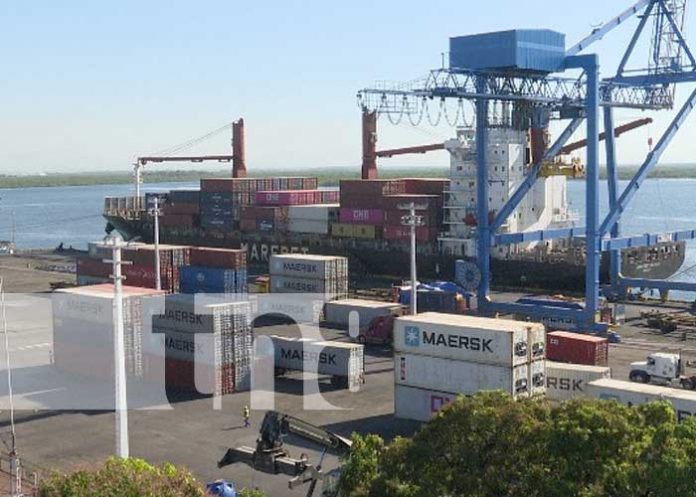 Foto: Trabajo portuario en Nicaragua / TN8