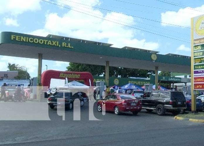 Foto: Sorteos con Fenicootaxi / TN8