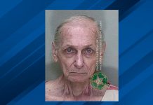 Capturan a «viejo moclín» con una tonelada de pornografía infantil en Florida Capturan a viejo "moclín" con una tonelada de pornografía infantil en Florida