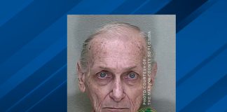 Capturan a viejo "moclín" con una tonelada de pornografía infantil en Florida