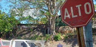 Foto: Fuerte choque en el sector de Bolonia, Managua / TN8