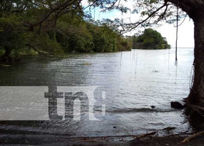 Foto: Pedacito de cielo en Granada: Finca El Rayo / TN8