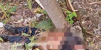 Foto: Encuentran cuerpo entre la maleza en Malacatoya, Granada / TN8