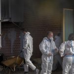 Camboya registra al segundo humano con gripe aviar Camboya registra al segundo humano con gripe aviar