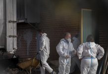 Camboya registra al segundo humano con gripe aviar