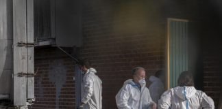 Camboya registra al segundo humano con gripe aviar