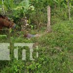 ¡Diabólico! Matan a machetazos a un adolescente en el Caribe Sur Foto: Atroz crimen en el Caribe Sur de Nicaragua / TN8