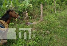 ¡Diabólico! Matan a machetazos a un adolescente en el Caribe Sur Foto: Atroz crimen en el Caribe Sur de Nicaragua / TN8