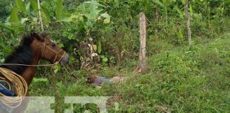 Foto: Atroz crimen en el Caribe Sur de Nicaragua / TN8