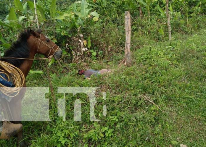 Foto: Atroz crimen en el Caribe Sur de Nicaragua / TN8