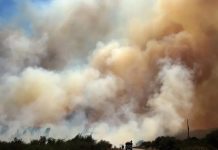 Chile refuerza el trabajo de combate contra incendio forestales Chile refuerza el trabajo de combate contra incendio forestales