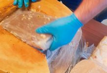 Decomisan droga camuflada en queso parmesano en Italia Decomisan droga camuflada en queso parmesano en Italia