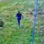 ¡De película! Peligroso capo de Italia se fuga de cárcel utilizando una sábana