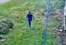 ¡De película! Peligroso capo de Italia se fuga de cárcel utilizando una sábana ¡De película! Peligroso capo de Italia se fuga de cárcel utilizando una sábana