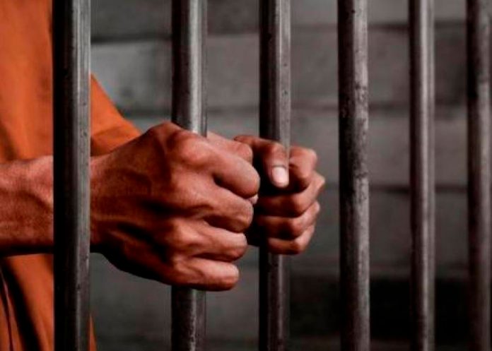 Por tacaño meten preso a hombre en Italia ¡limitó hasta el papel higiénico!