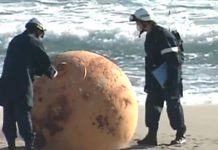Misteriosa aparición de una bola en Japón ¿será una esfera del Dragon Ball?