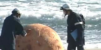 Misteriosa aparición de una bola en Japón ¿será una esfera del Dragon Ball?