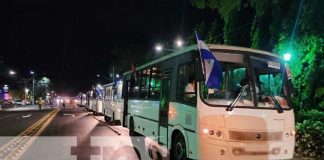 Foto: Nuevos buses para la ciudad de León / TN8