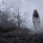 Con los pelos de punta queda un grupo de amigos, les apareció «La Llorona» Sacaron a pasear al perro y se les apareció "La Llorona"